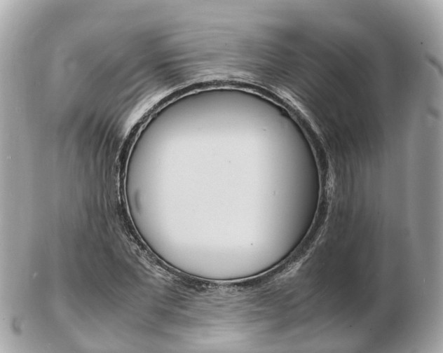 X0000103290877200808291106