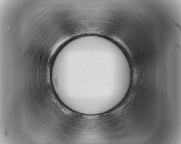 X0000103290878200808291106