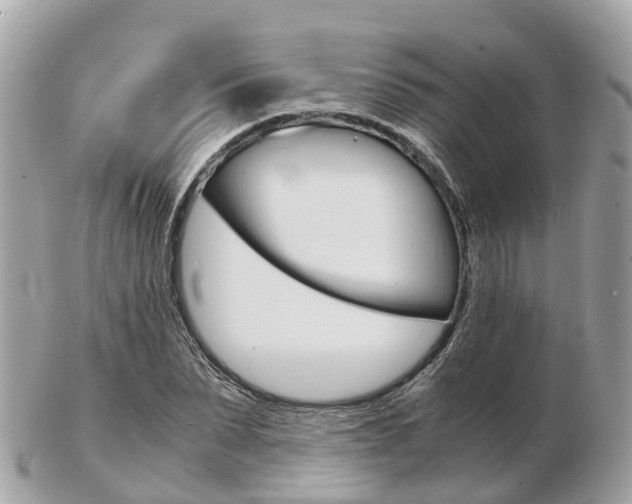 X0000103290879200808291106