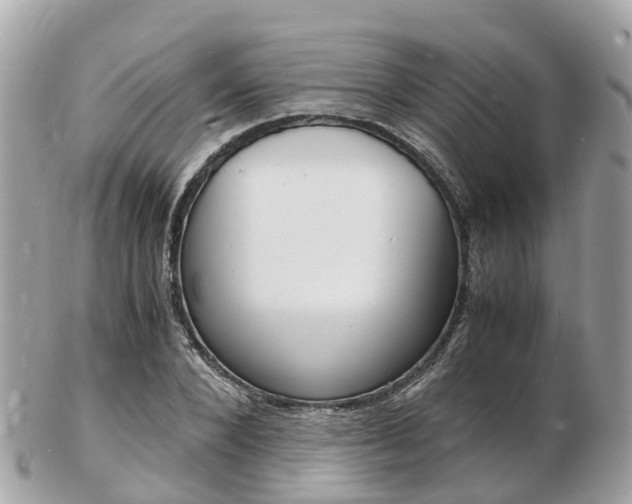 X0000103290880200808291106