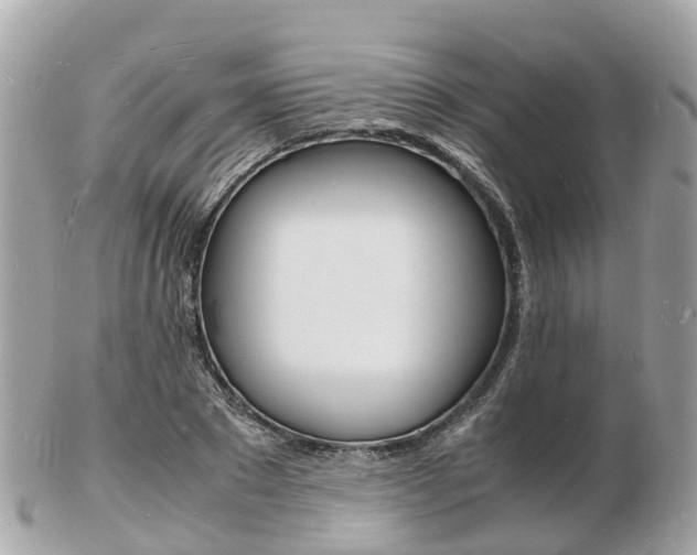 X0000103290881200808291106