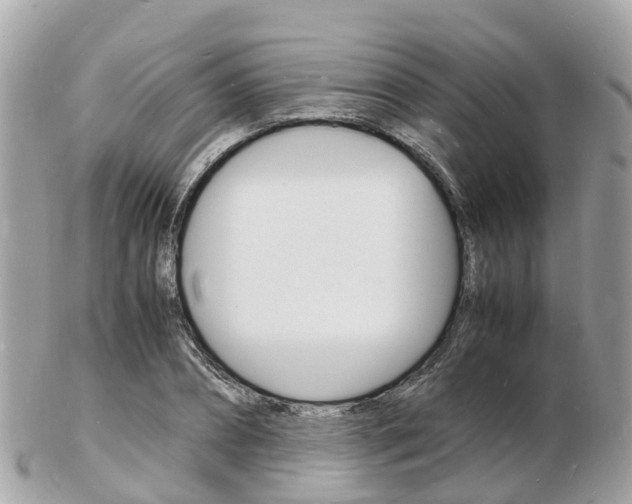 X0000103290882200808291106