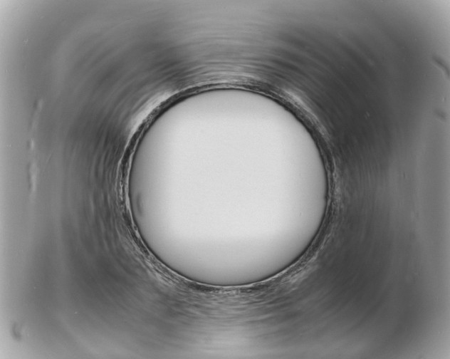 X0000103290883200808291106