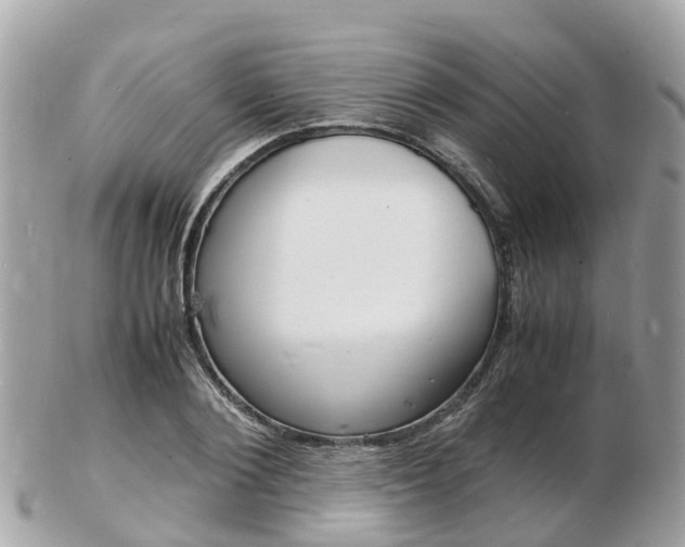 X0000103290884200808291106