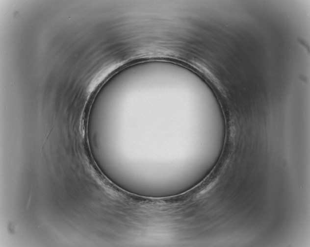 X0000103290885200808291106