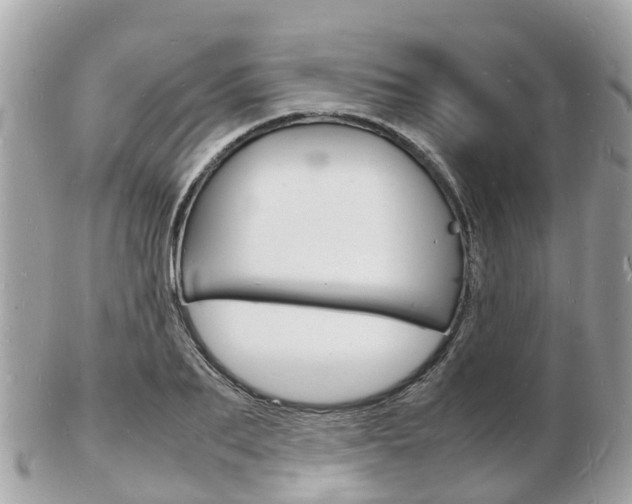 X0000103290887200808291105
