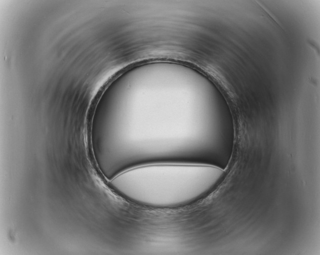 X0000103290888200808291105