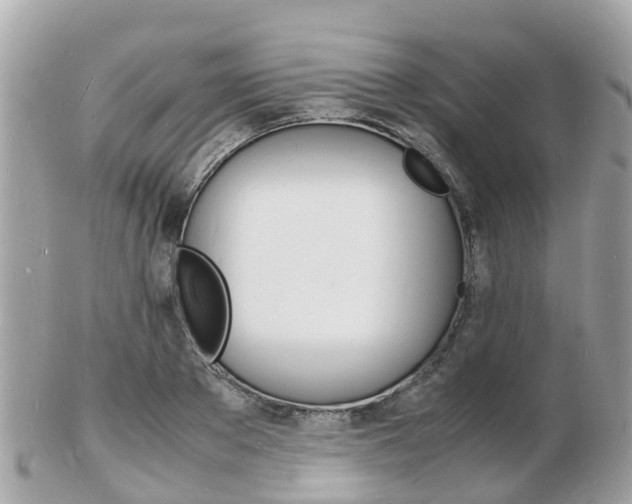 X0000103290889200808291105