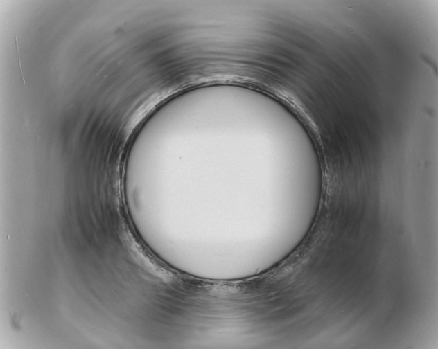X0000103290890200808291105