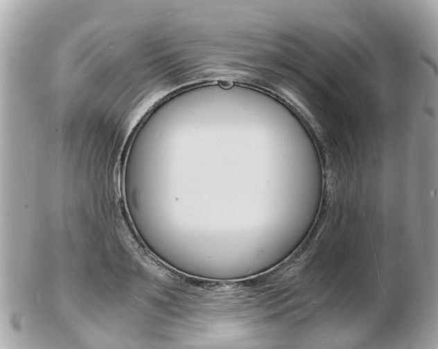 X0000103290891200808291105