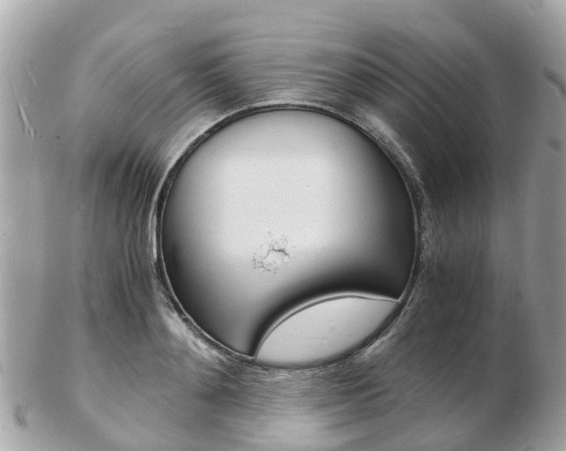 X0000103290892200808291105