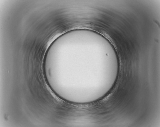 X0000103290893200808291105
