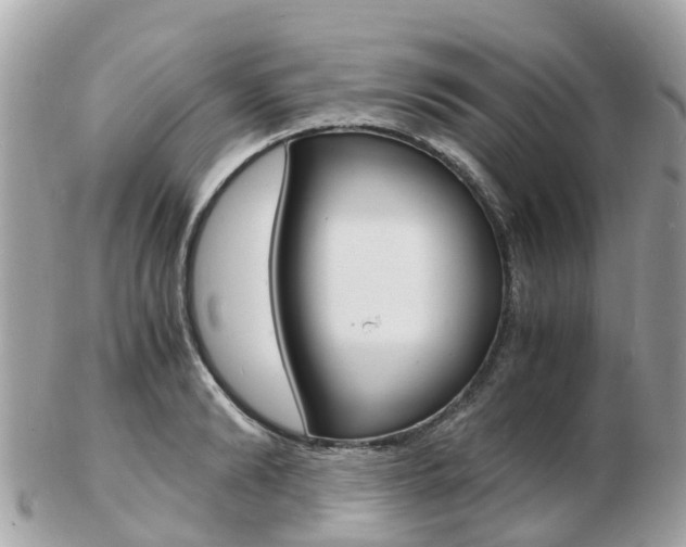 X0000103290894200808291105