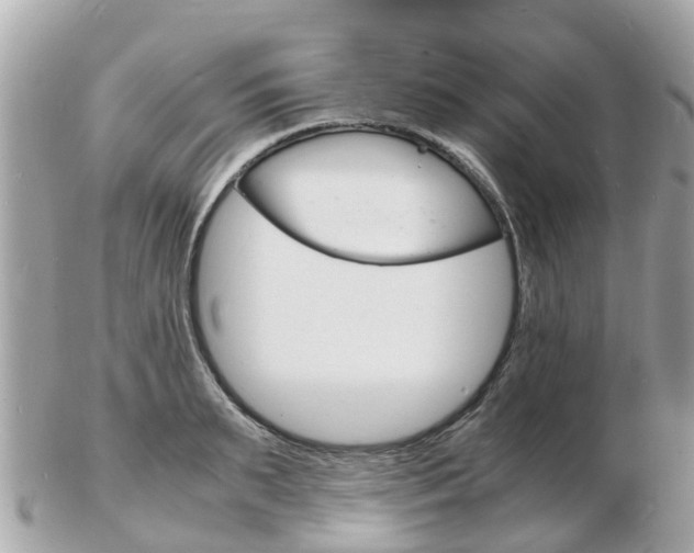 X0000103290895200808291105