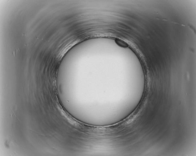 X0000103290897200808291105