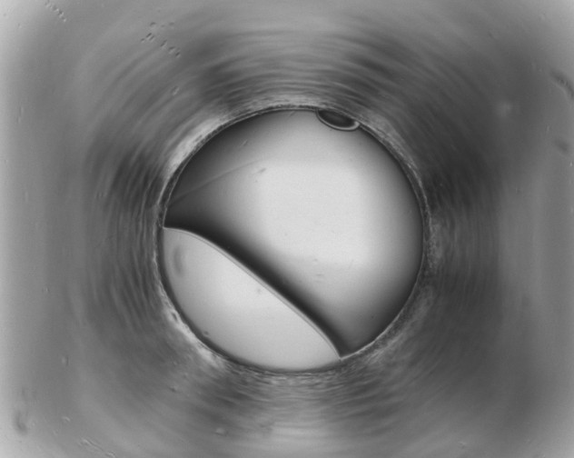 X0000103290898200808291105