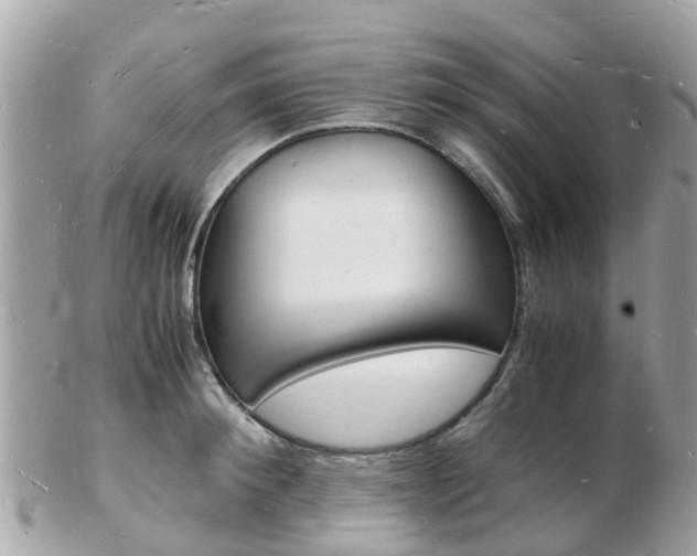 X0000103290900200808291105