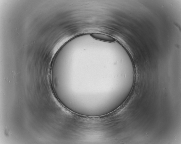 X0000103290901200808291105