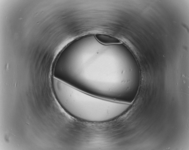 X0000103290902200808291105