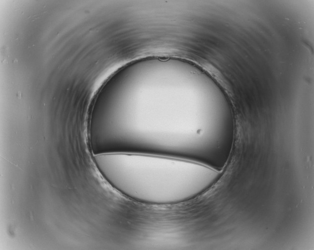 X0000103290904200808291105