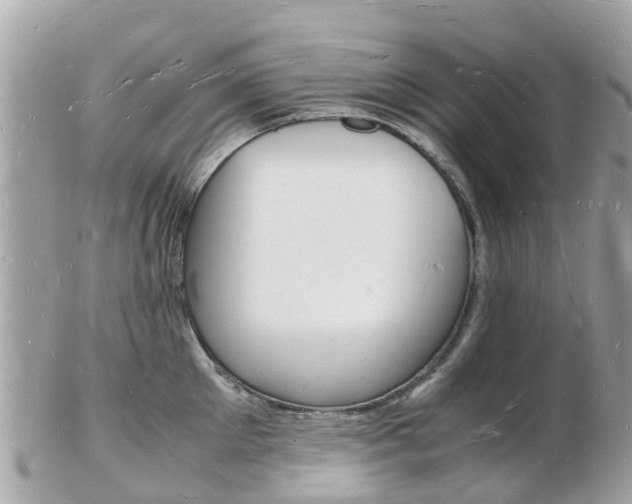 X0000103290905200808291105