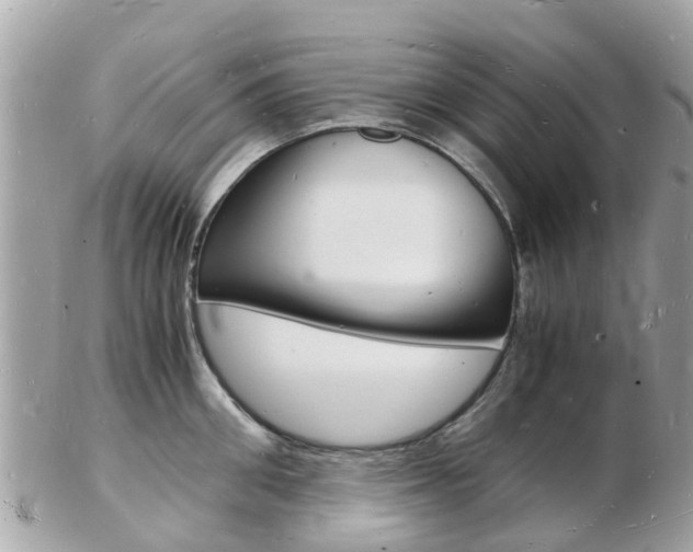 X0000103290906200808291105