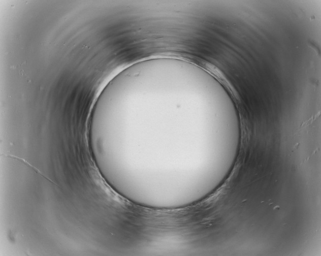X0000103290908200808291105