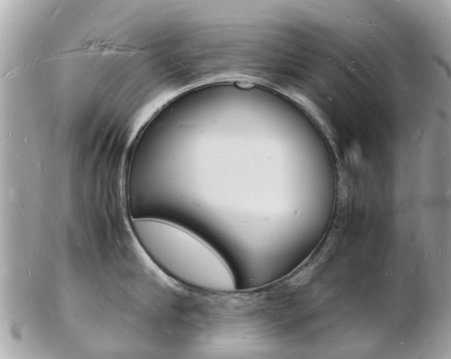 X0000103290910200808291105
