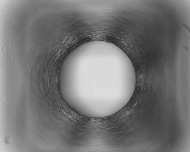 X0000103290913200808291104