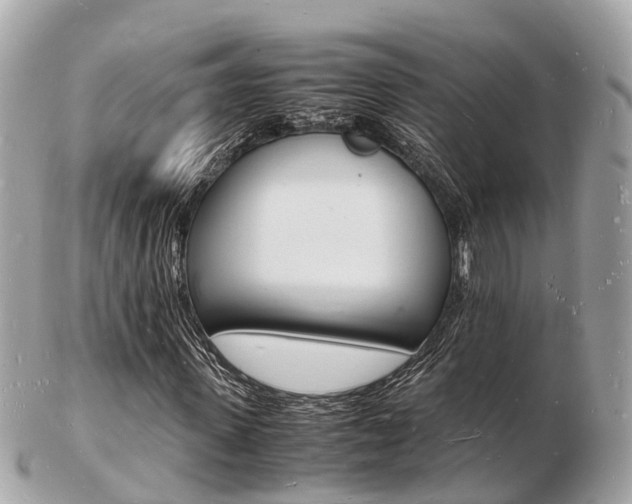 X0000103290915200808291104