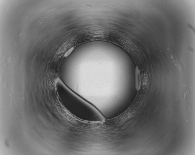 X0000103290916200808291104
