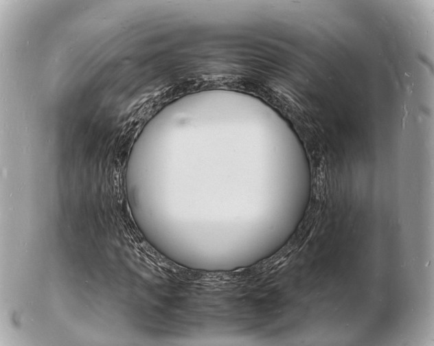 X0000103290917200808291105