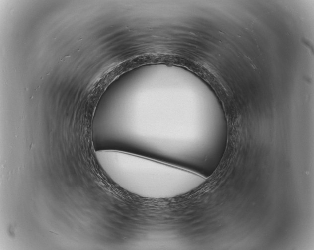 X0000103290919200808291105