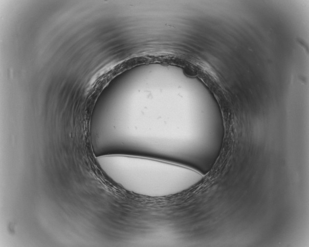 X0000103290920200808291105