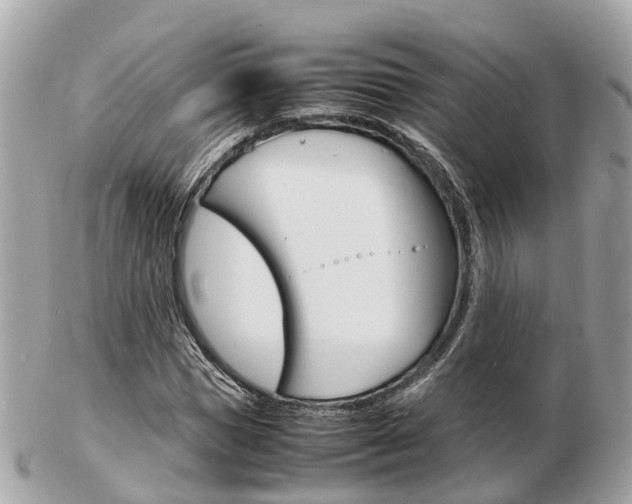 X0000103290921200808291105