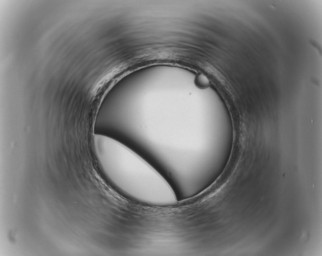 X0000103290922200808291105