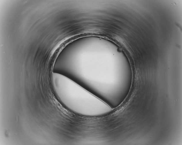 X0000103290923200808291105