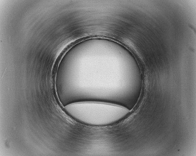 X0000103290924200808291105