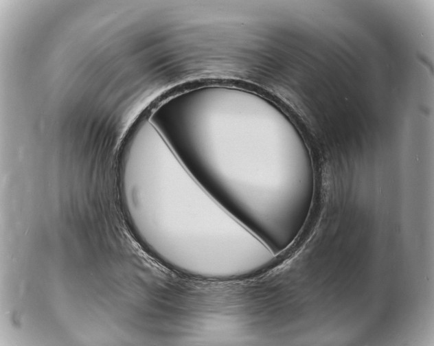 X0000103290926200808291105