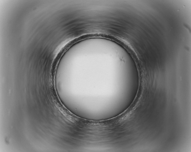 X0000103290927200808291105