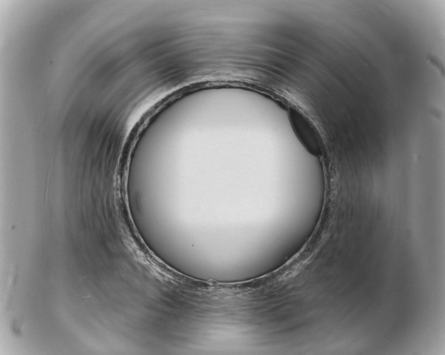 X0000103290928200808291105