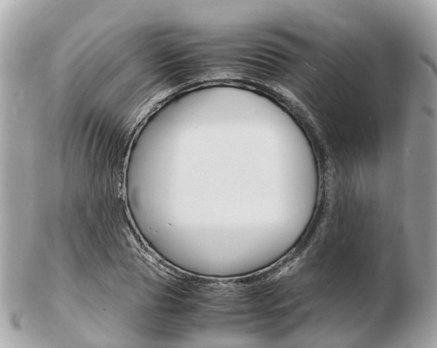 X0000103290929200808291105
