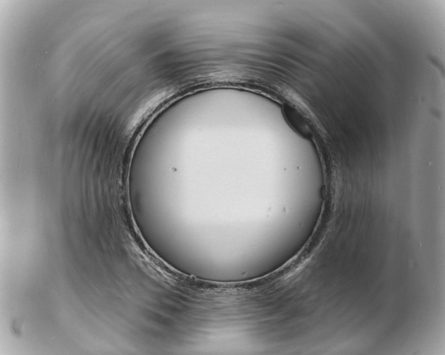 X0000103290930200808291105