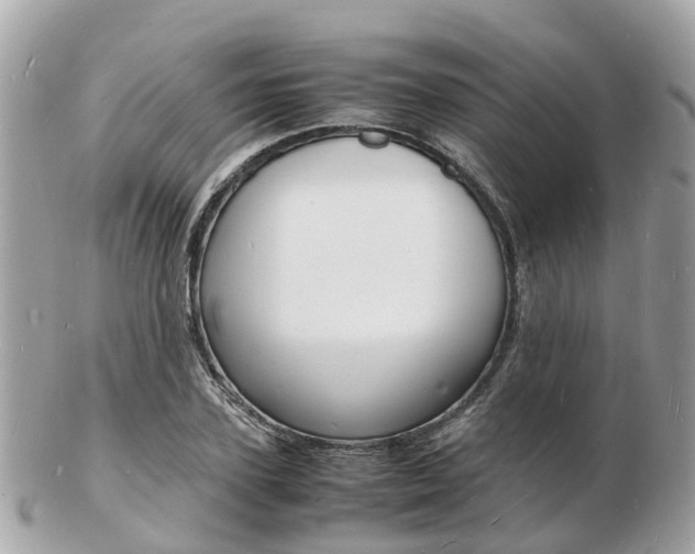 X0000103290931200808291105