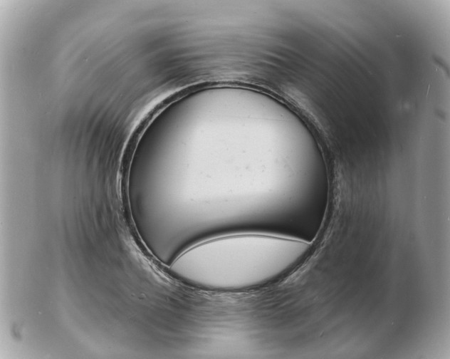 X0000103290932200808291105