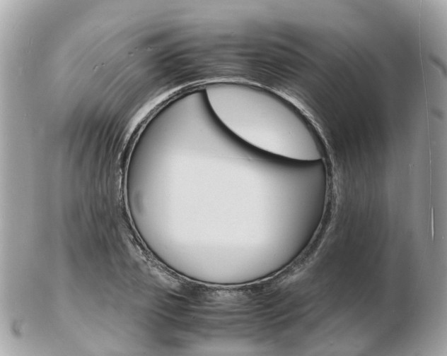 X0000103290933200808291105