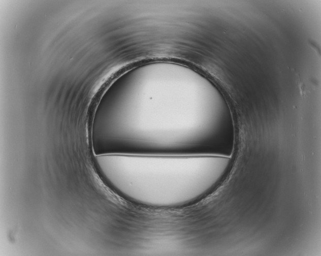X0000103290934200808291105