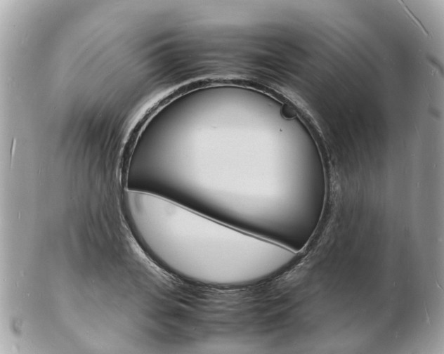 X0000103290935200808291105