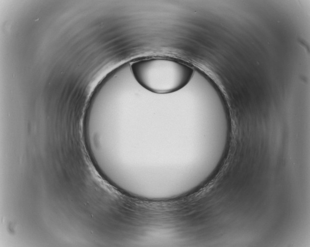 X0000103290936200808291105