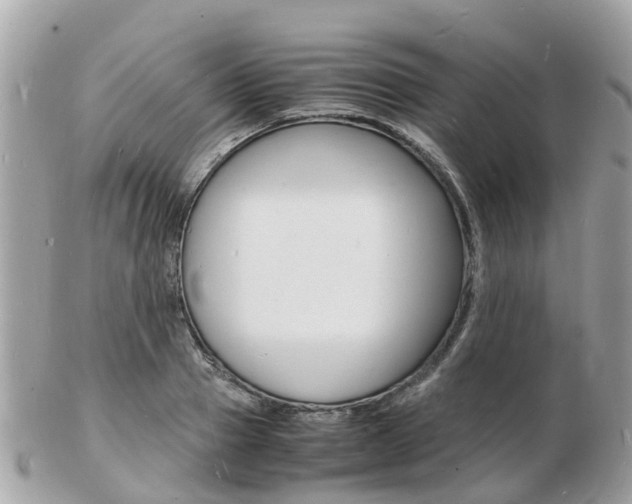 X0000103290937200808291105